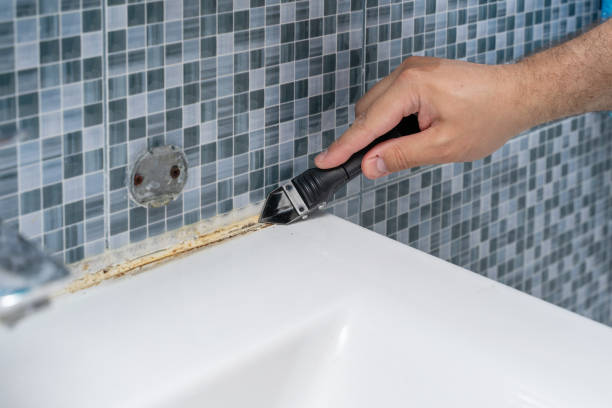 Best Basement Mold Remediation in Shrewsbury, MO