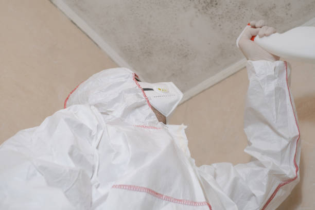 Best Bathroom Mold Remediation in Shrewsbury, MO