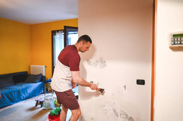Best Post-Flood Mold Remediation in Shrewsbury, MO